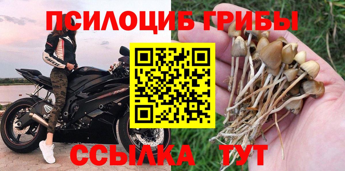 Псилоцибиновые грибы Cubensis  Вход с VPN  Балтийск 